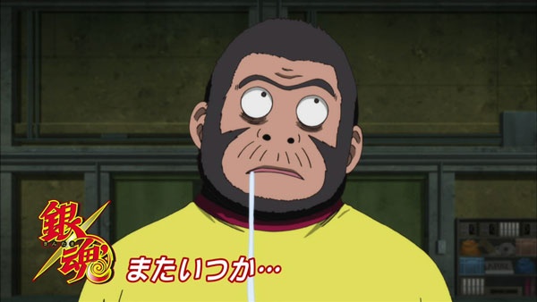 银魂真人版观影顺序,银魂真人版受伤