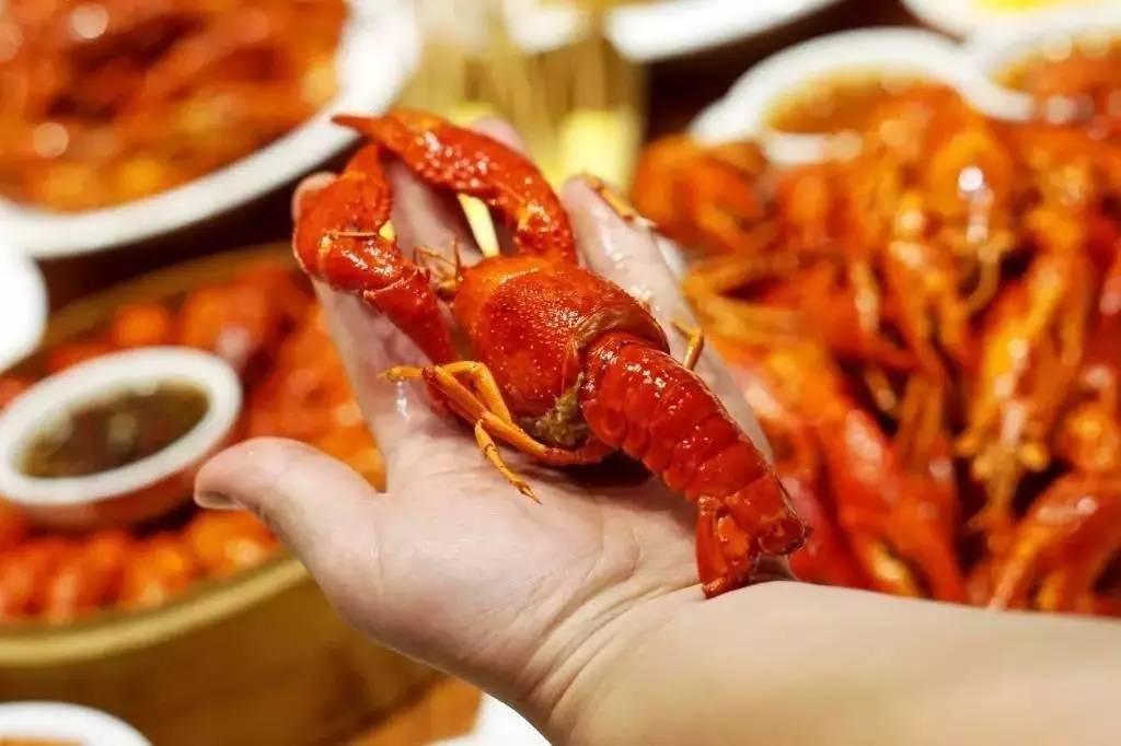 长沙吃虾网红店在哪里,长沙河西哪家油爆虾最好吃