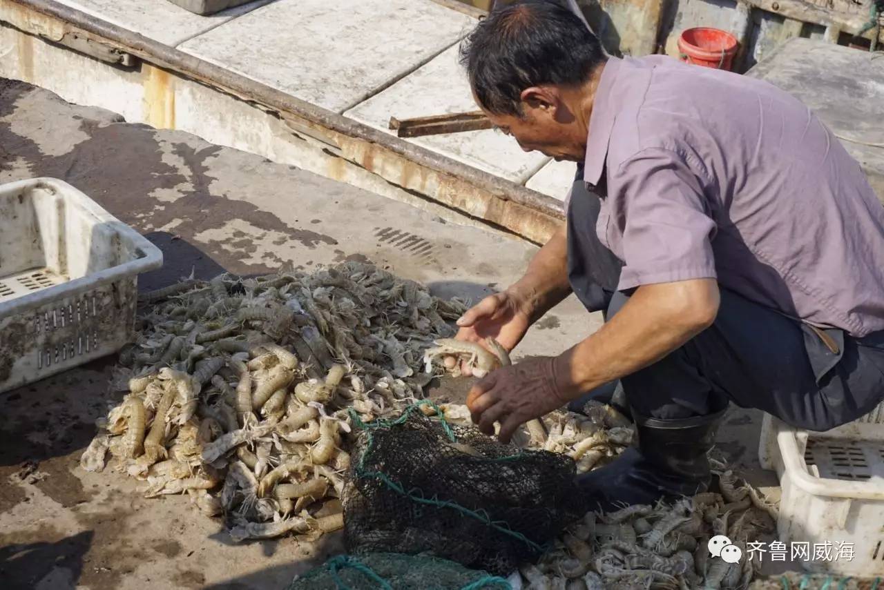 开海了一大波新鲜海鲜,威海开海了吃什么海鲜