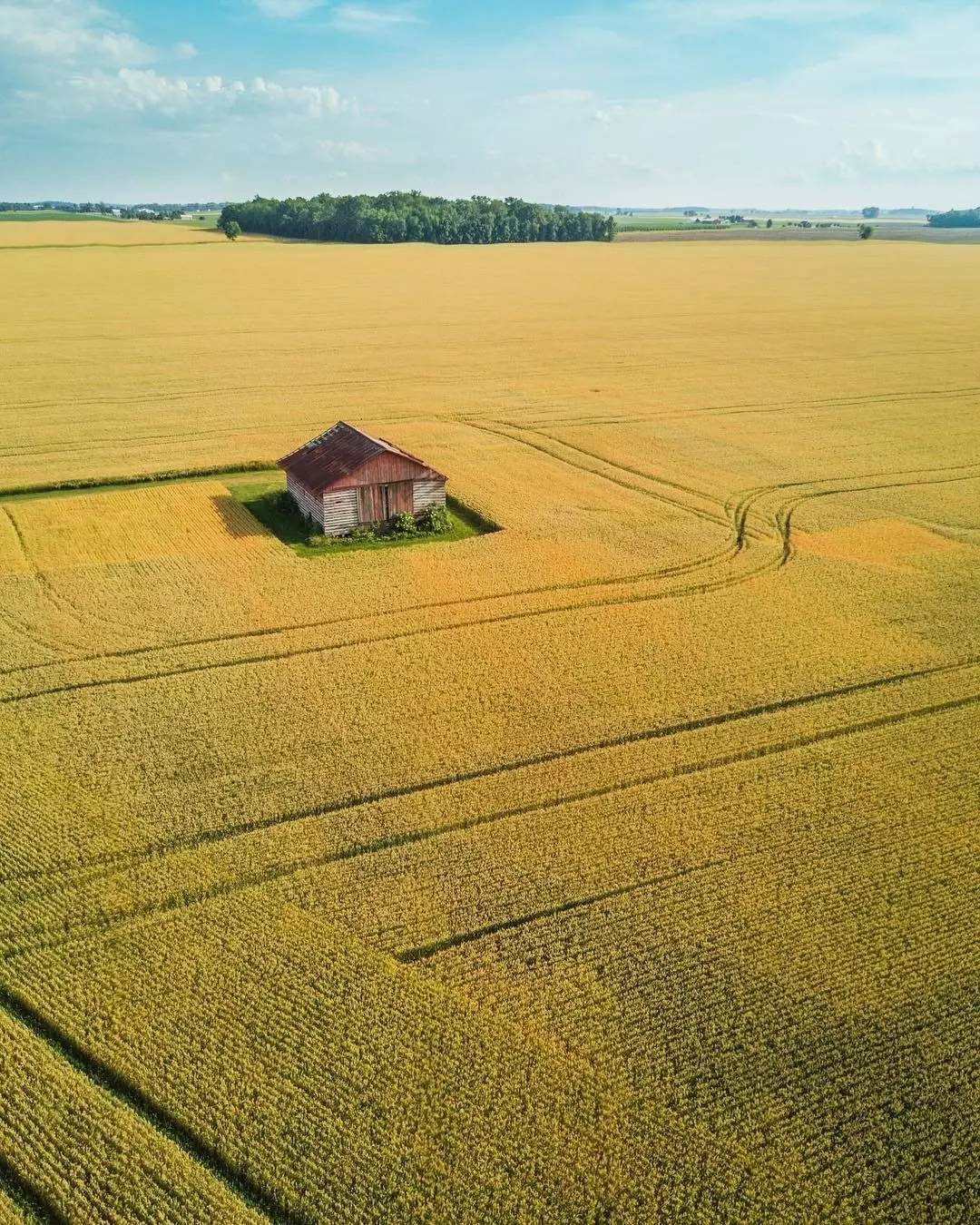 你有过被盗视频的经历吗,哪些图片有被盗图举报风险