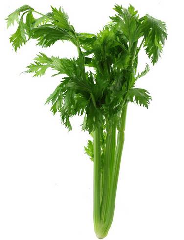 牙齿变黄、口腔异味怎么办?这些简单的食物就能搞定!