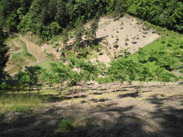 对人民群众许下的铮铮誓言,用行动兑现承诺