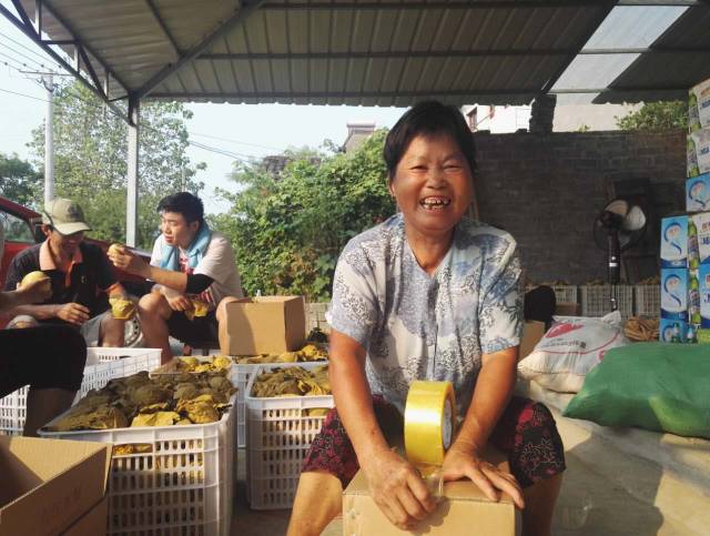 邮乐919启动,邮乐919购物节直播