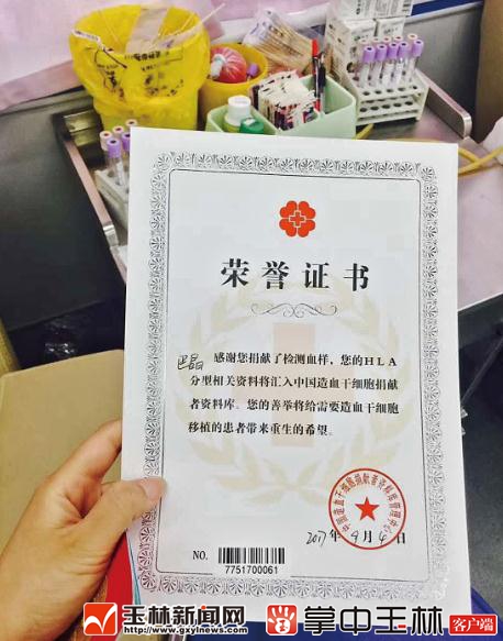 广西特产排名前十名品种,广西玉林的十大名茶