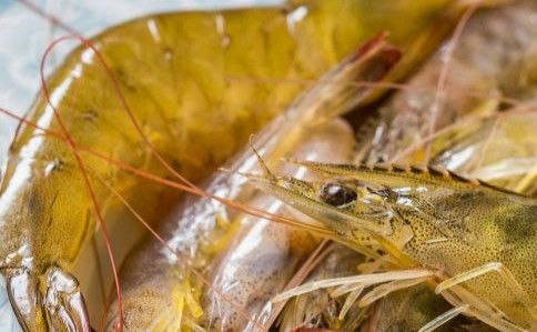 香辣基围虾尾最正宗的做法,椒盐基围虾的家常做法大全