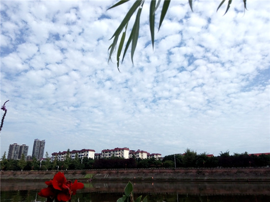 中国眉山一带一路“东坡味道”专题推介会亮相狮城