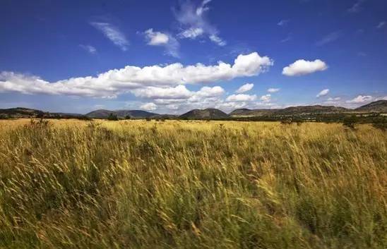 关于金砖你不知道的事,你如何看待金砖