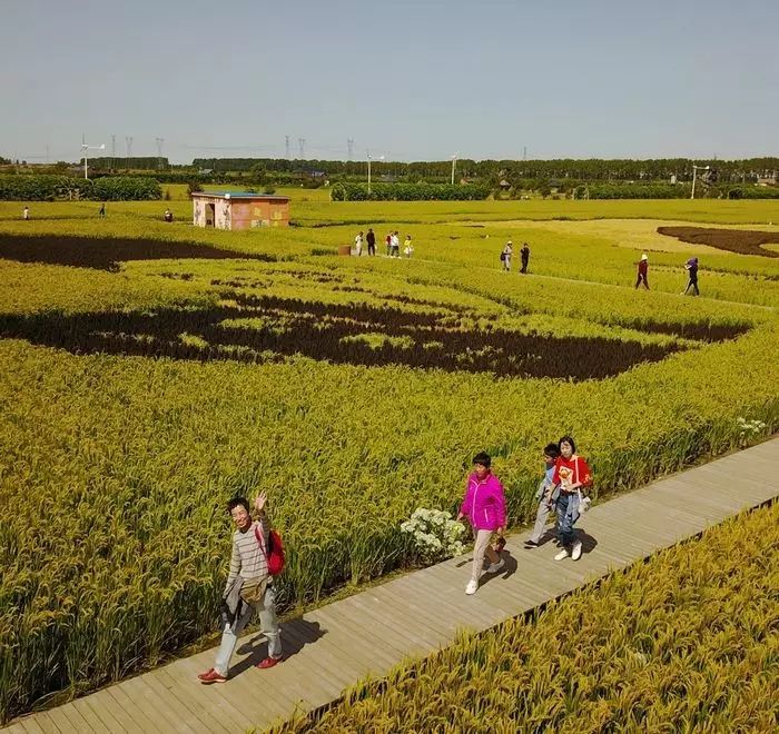 沈阳稻梦空间,沈阳稻梦空间星空