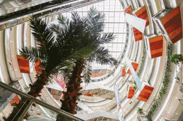 今天开始购物节的一个月里，长宁简直要嗨翻了，KiNG88正式开业、主题活动精彩不断……