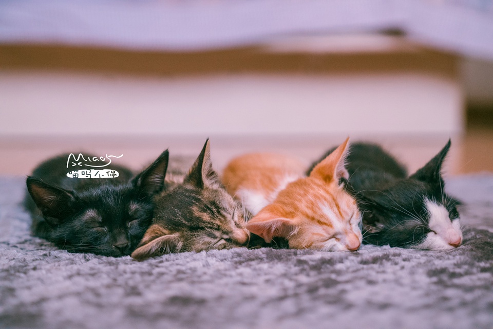 豆瓣日记10月,豆瓣日记