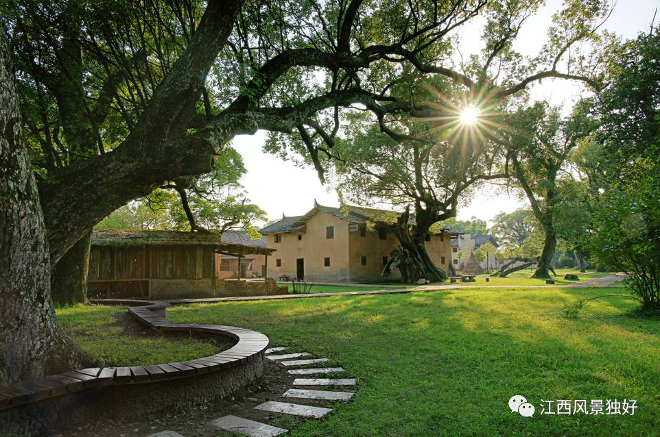 瑞金共和摇篮杯2023,瑞金共和摇篮要不要钱