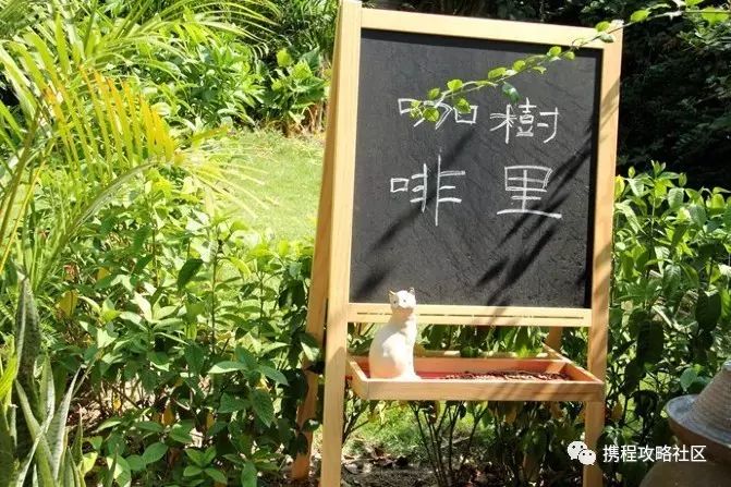 鼓浪屿小众景点素材,鼓浪屿拍照小众景点有哪些