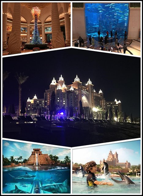 迪拜自驾攻略,迪拜自驾游一日游攻略