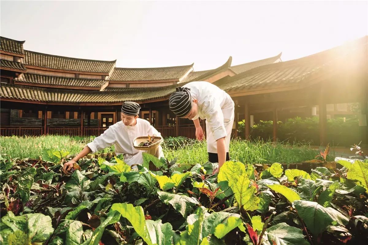 隐居山林烟雨间,自在山间隐居
