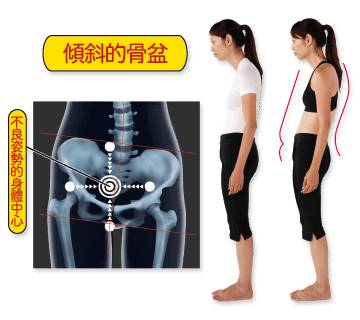 第917期｜骨架与平衡！人体架子是练好太极拳的大问题（推荐阅读）