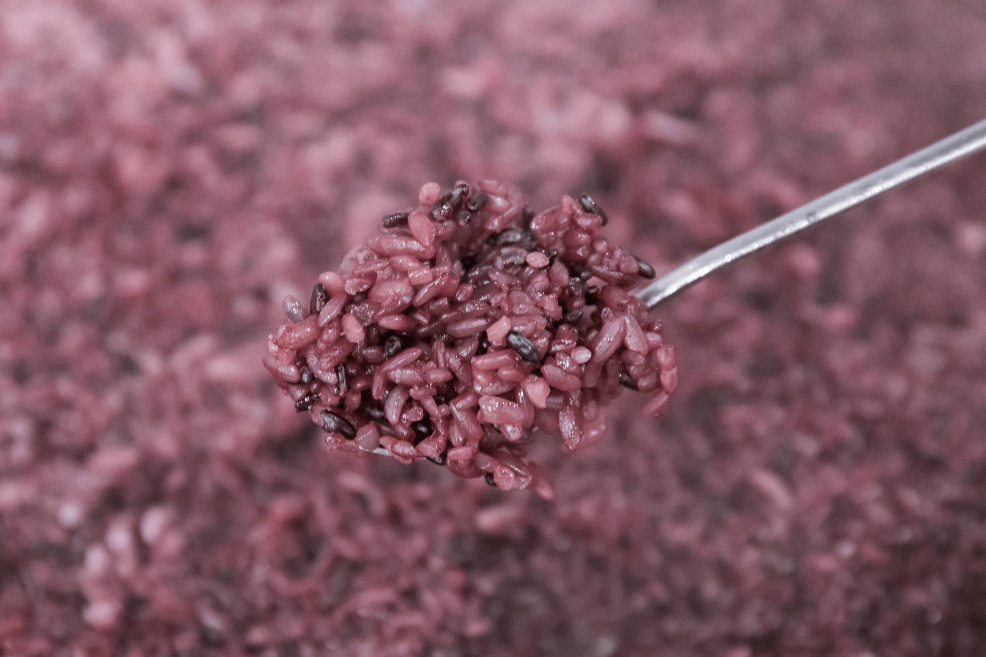 还吃啥子小面!称霸魔都25年的网红饭团杀来重庆,7块钱就能胀翻!