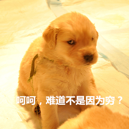 说案｜这款风靡朋友圈的“*肥药减**”，有毒！