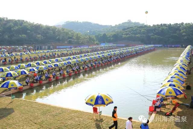 海滨温泉酒店会议,适合商务小型会议酒店