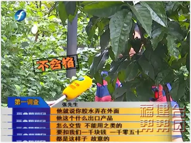 干活简单还有高薪？快醒醒！警惕“代加工”陷阱！