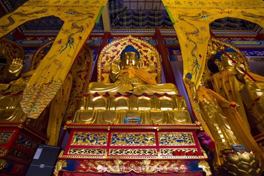 镜泊湖火山口免费景点,探秘火山