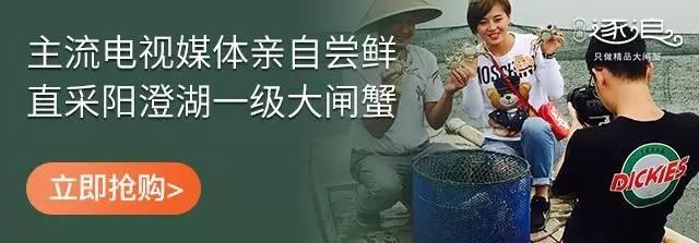 深圳市深汕特别合作区最新设计图,深汕合作区未来核心区域