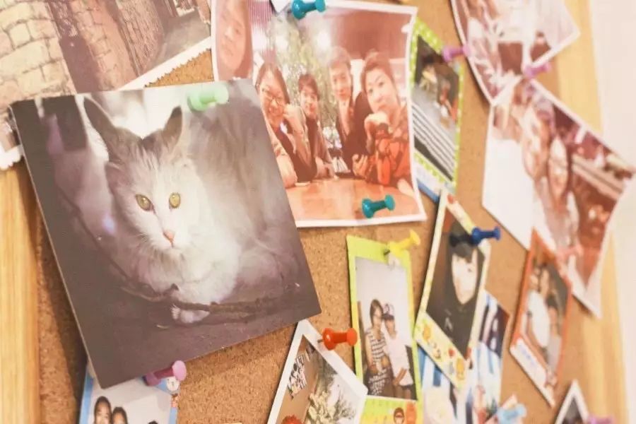 在济南这座历史古城，寻找让你惊艳的咖啡味道和有趣的咖啡人