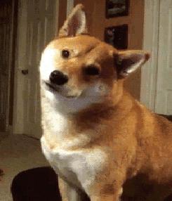 富士康工资为什么那么低,富士康来南京