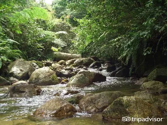 除了吉隆坡，13个马来西亚必去目的地，每个都值得一去！