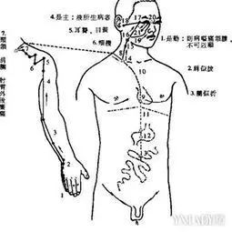 拍打经络补法和泻法,十二经络拍打养身操横屏