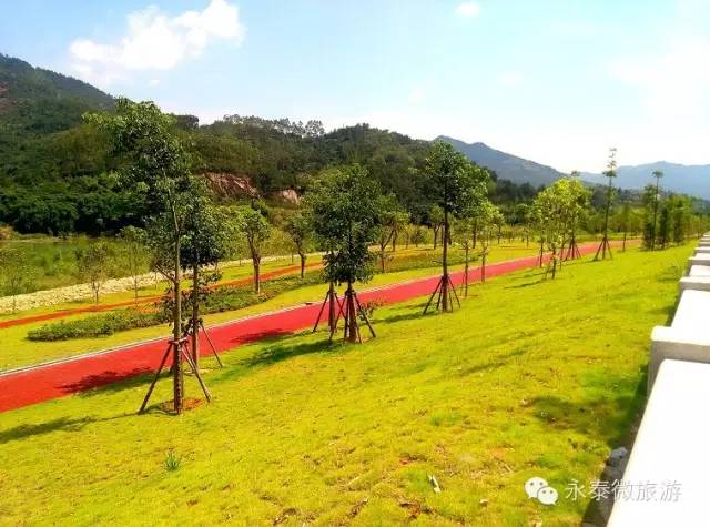 厉害了我区多家企业获省级殊荣,厉害了巢湖这个单位获国字号荣誉