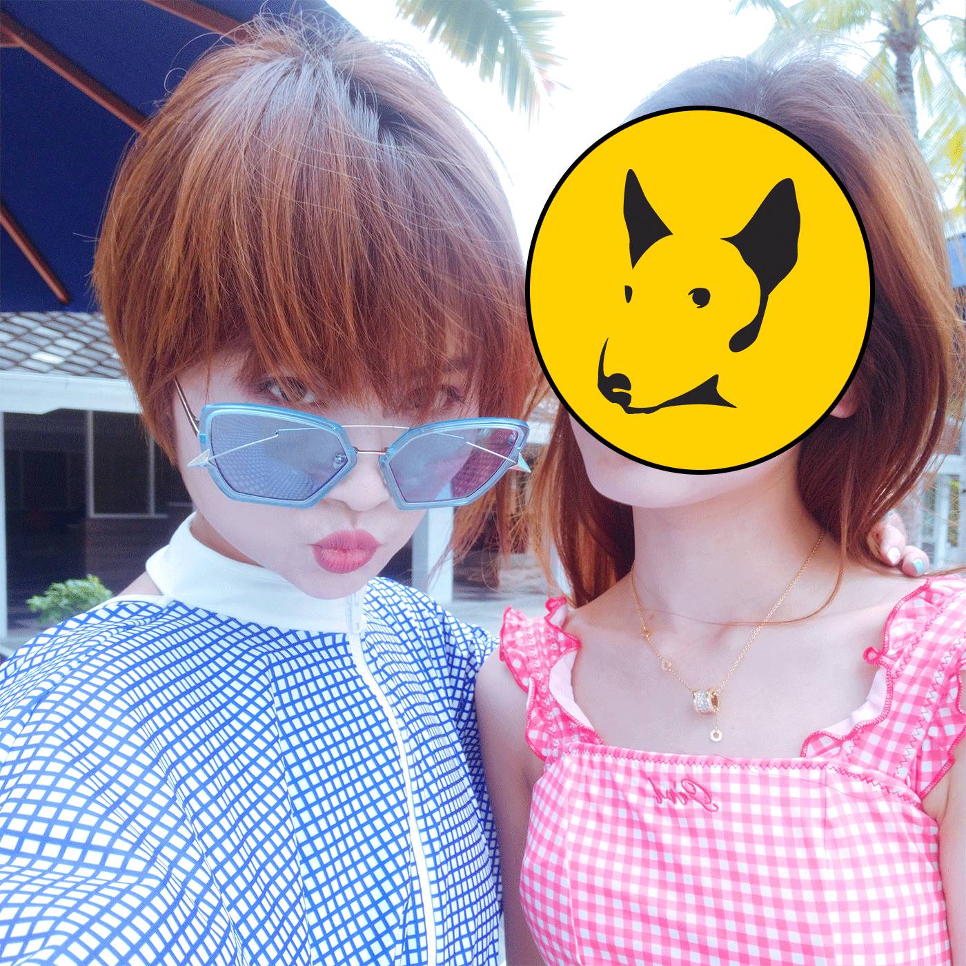 适合圆脸短脸戴的太阳眼镜,圆脸大脸适合的眼镜测评