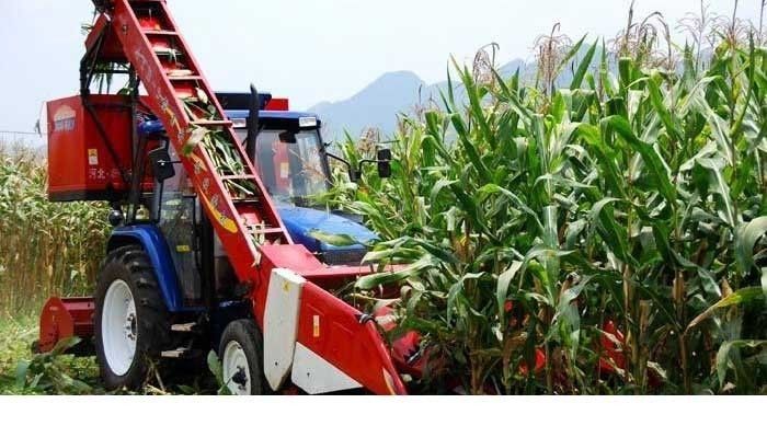 农民种地托管新模式,农民土地托管经营模式