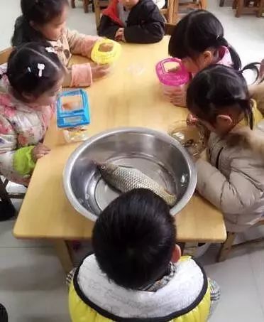 称重100粒儿大米交5根老鼠尾巴，比起签名，奇葩作业家长更伤不起