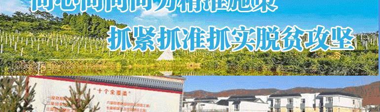 和县人民医院医疗专家义诊活动,十堰义诊太和医院