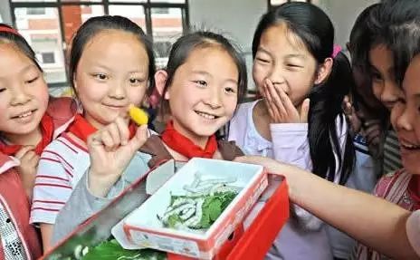 称重100粒儿大米交5根老鼠尾巴，比起签名，奇葩作业家长更伤不起