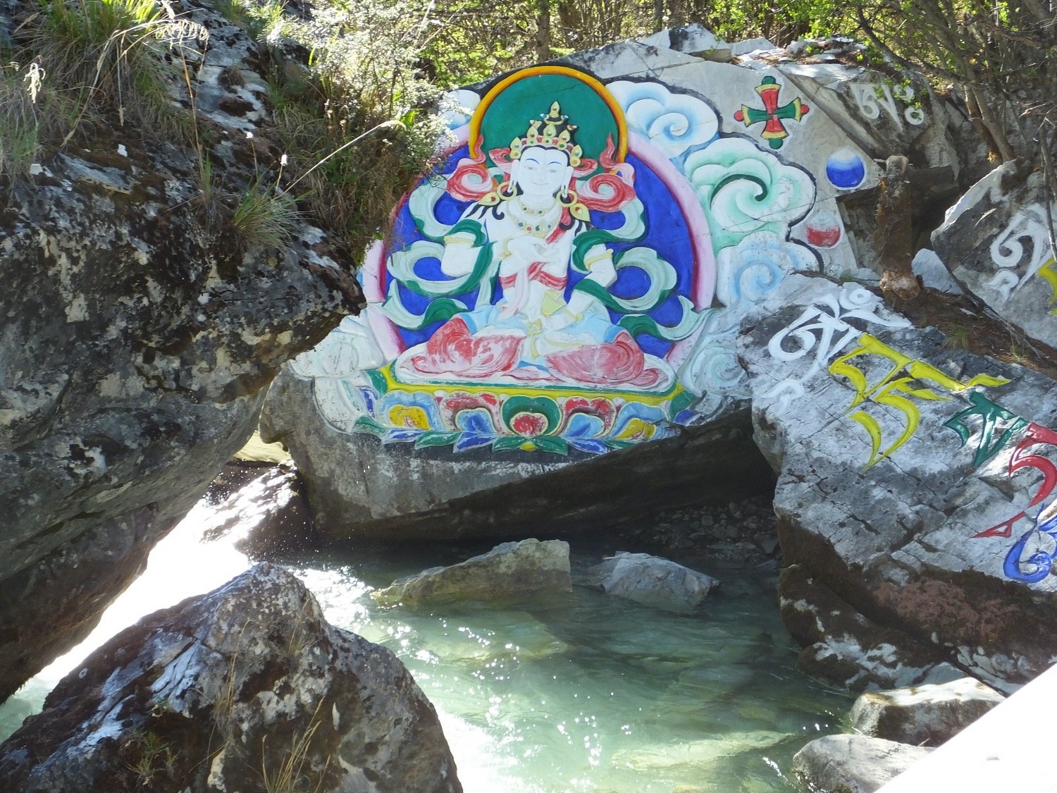 泸亚东线沿途风景,泸亚线穿越原始森林