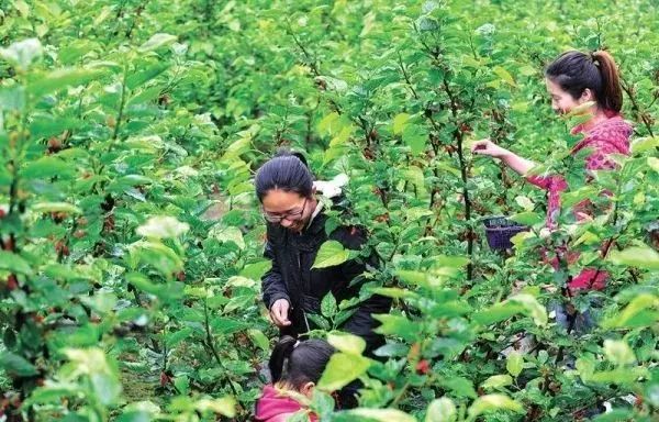 国庆假期出门攻略图文,国庆长假无聊安排