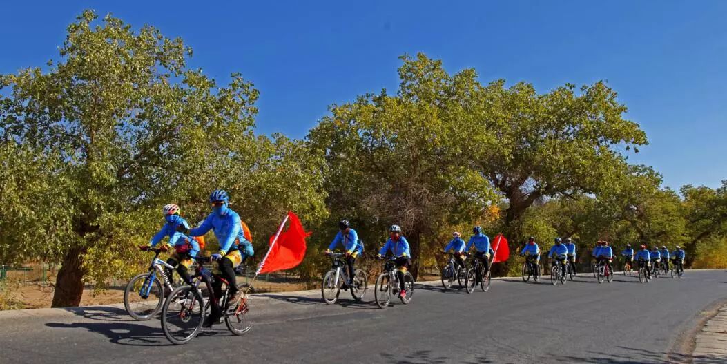 美丽的内蒙古额济纳胡杨林,恋上南山路美图