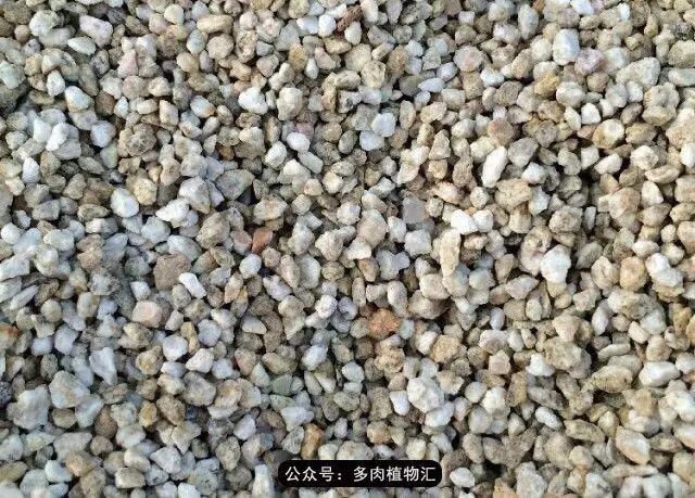 韩国如何养多肉,家庭养多肉用什么施肥