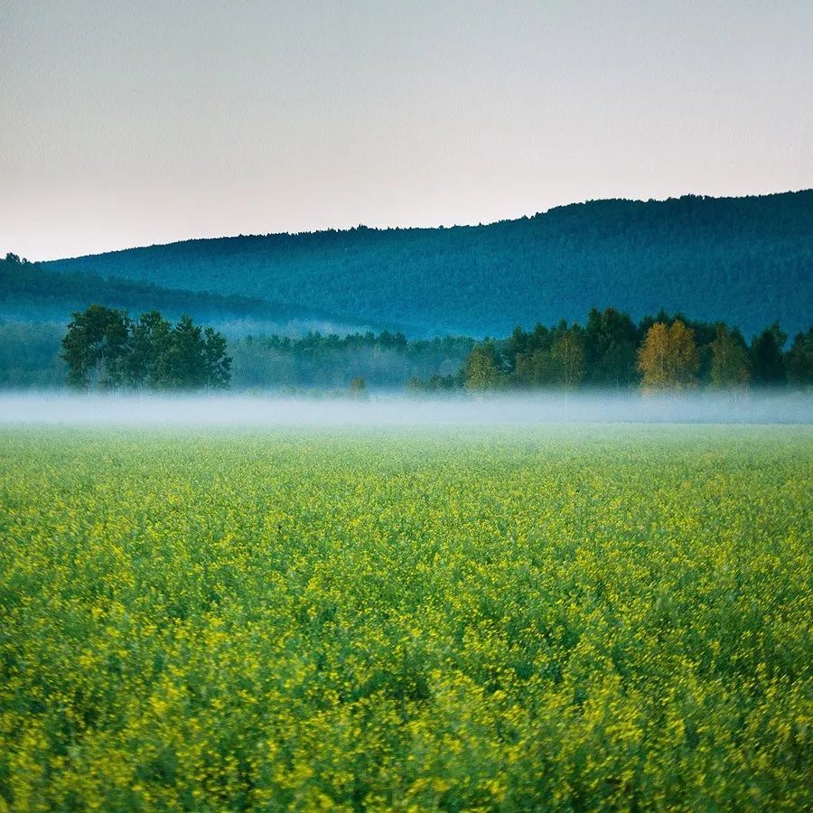 秋分,秋分早霜降迟