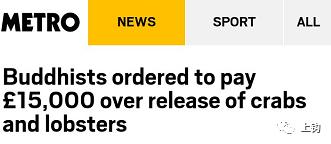 海钓真实故事大全,海钓的故事视频