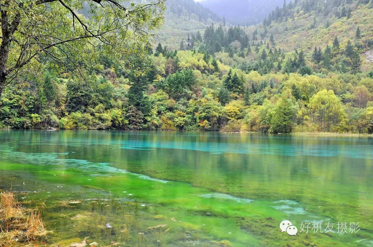 九寨沟黄龙峨眉山乐山自由行攻略,九寨沟旅游攻略及自由行景点介绍