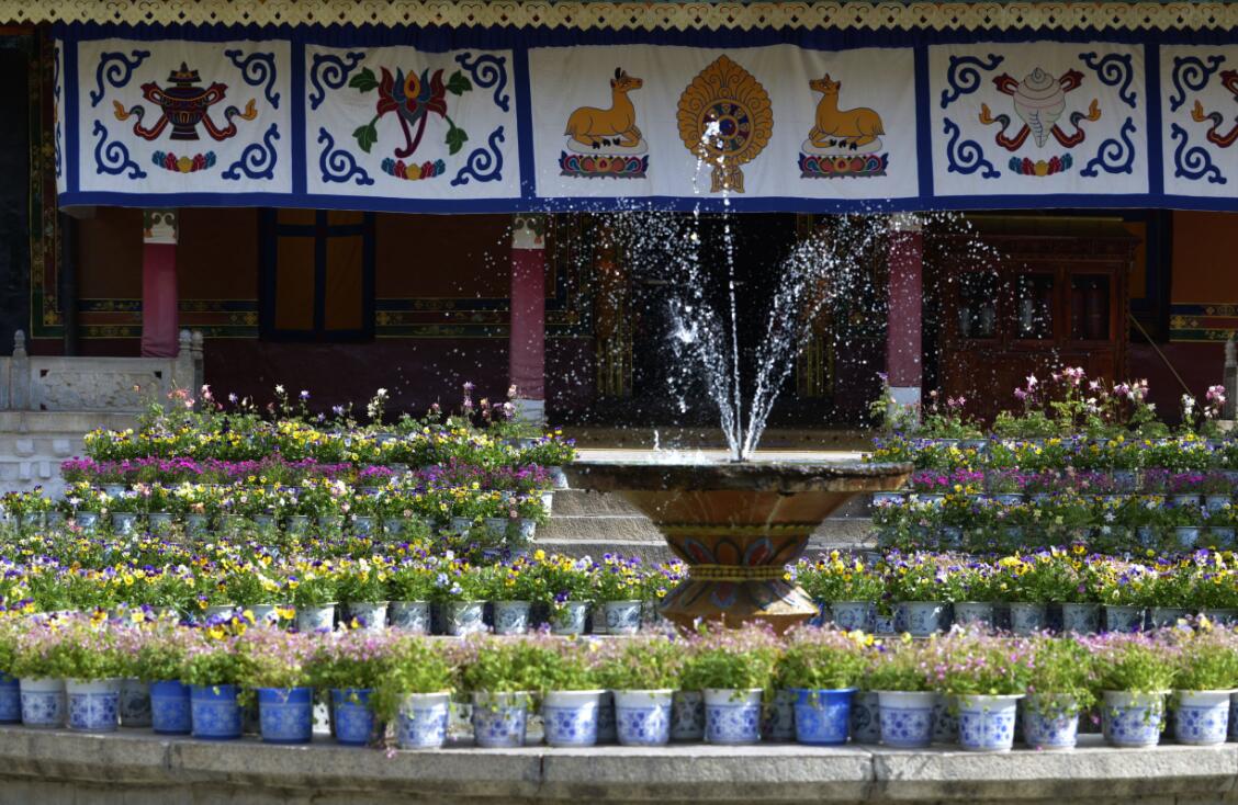 群芳争艳“宝贝园林”罗布林卡