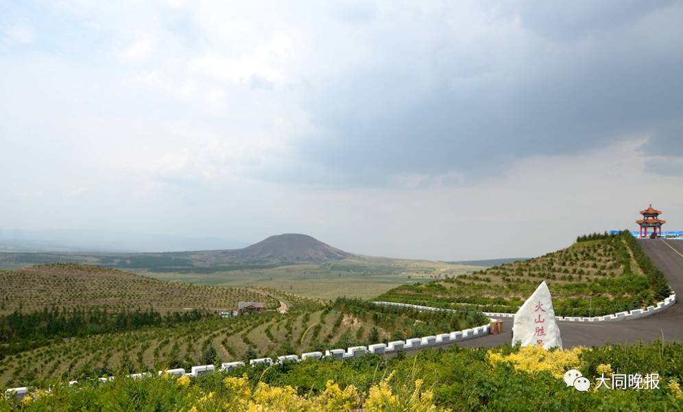 澶у悓鍗婇┈2023,澶у悓鍗婇┈2024