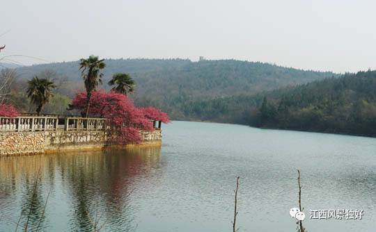 走遍江西省100县,走遍江西一百个县市区