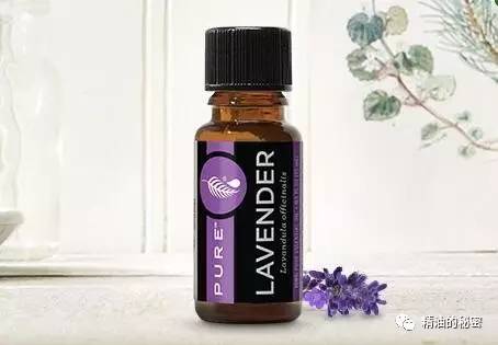 痘痘肌肤专用精油,十大最好用精油面部