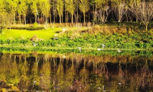 毕节七星关旅游区,毕节七星关攻略