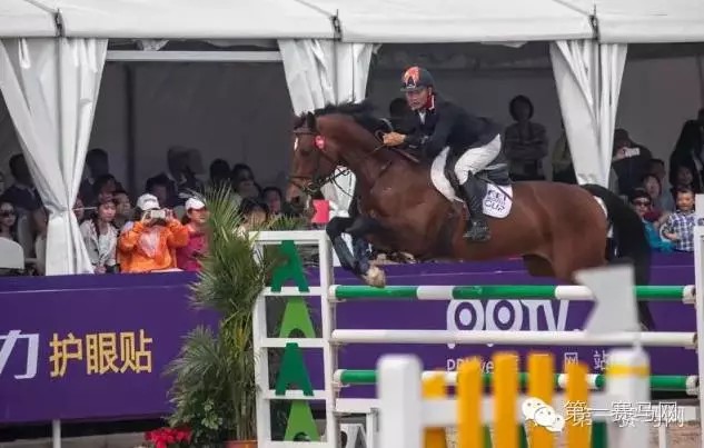 北京国际马术大师赛,马术鸟巢大师赛