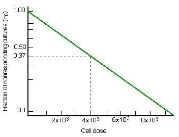 t细胞活化的指标用什么检测,t细胞检验