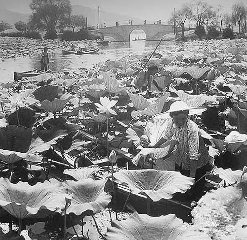 南京有玄武湖区吗,南京玄武湖有多少人